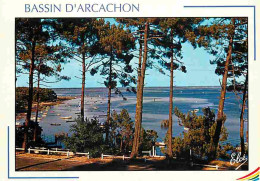 33 - Bassin D'Arcachon - Le Bassin à Travers Les Magnifiques Pins - CPM - Voir Scans Recto-Verso - Autres & Non Classés