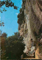 24 - Le Bugue Sur Vézère - Grotte Du Grand Roc Et Laugerie - CPM - Voir Scans Recto-Verso - Sonstige & Ohne Zuordnung