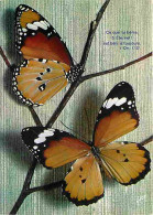 Animaux - Papillons - Papillons Exotiques - Danais Chrysippus - Indes-Palestine - CPM - Voir Scans Recto-Verso - Schmetterlinge