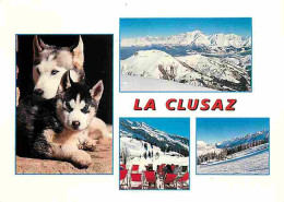 Animaux - Chiens - Husky - La Clusaz - Multivues - Neige - Montagnes - Flamme Postale - CPM - Voir Scans Recto-Verso - Hunde