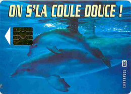 Animaux - Dauphins - CPM - Voir Scans Recto-Verso - Delfini