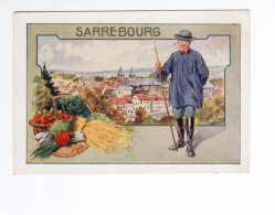Chromo ALSACE SARREBOURG TB Pub: Chocolat J. Moreau Auxerre 107 X 75 Mm 2 Scans RR - Sonstige & Ohne Zuordnung