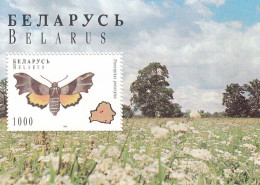 BELARUS Block 7,unused (**) Butterflies - Belarus