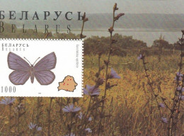 BELARUS Block 8,unused (**) Butterflies - Wit-Rusland