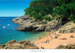Espagne - Espana - Cataluna - Costa Brava - Tamariu - Playa De Lliris - Plage - CPM - Voir Scans Recto-Verso - Gerona