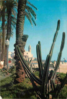 Fleurs - Plantes - Cactus - Sitges - Jardines Del Paseo Maritimo - Espagne - Espana - CPM - Voir Scans Recto-Verso - Cactus