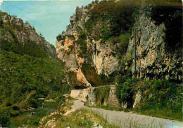 48 - Les Gorges Du Tarn - Cirque Des Baumes - CPM - Voir Scans Recto-Verso - Gorges Du Tarn