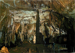30 - Gard - Les Cévennes - Courry - Grotte De La Cocalière - Salle Du Pilier - CPM - Voir Scans Recto-Verso - Sonstige & Ohne Zuordnung