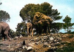 Animaux - Eléphants - Fréjus - Safari De L'Estérel - Parc Zoologique - Zoo - CPM - Voir Scans Recto-Verso - Éléphants