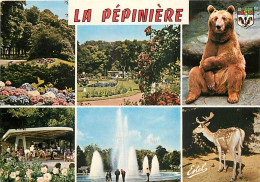 Animaux - Ours - Parc De La Pépinière De Nancy - Multivues - Zoo - Bear - CPM - Voir Scans Recto-Verso - Ours