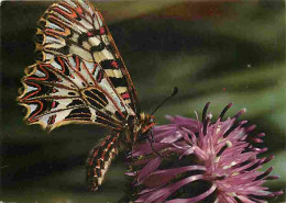 Animaux - Papillons - Zerynthia Hypsipyle Schulz - Osterluzeifalter - Diane - Fleurs - Voir Timbre De Belgique - CPM - V - Butterflies