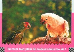 Animaux - Oiseaux - Perroquet - Carte Humoristique - CPM - Voir Scans Recto-Verso - Vögel