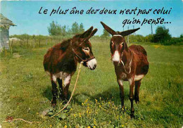 Animaux - Anes - Carte Humoristique - Carte Neuve - CPM - Voir Scans Recto-Verso - Donkeys
