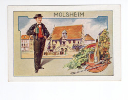 Chromo ALSACE MOLSHEIM TB Pub: Chocolat J. Moreau Auxerre 107 X 75 Mm 2 Scans RR - Sonstige & Ohne Zuordnung