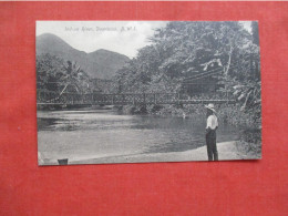 Indian River Dominica BWI   Ref 6411 - Dominica