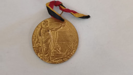 RARE Et Introuvable Médaille Belge : Section Neutre Des Pensionnés Anderlues 50 Mm 48 G - Altri & Non Classificati