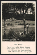 AK Eiland /Böhm. Schweiz, Ortsansicht Vom Wald Gesehen  - Tchéquie