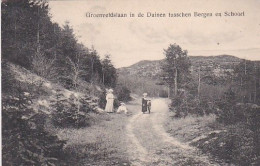 1850274Groenveldslaan In De Duinen Tusschen Bergen En Schoorl (poststempel 1908) (vouw Zie Achterkant) - Other & Unclassified