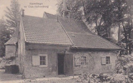 1850	256	Hermitage Te Oud Valkenburg (poststempel 1915)(minuscule Vouwen In De Hoeken)  - Valkenburg