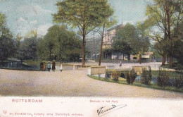 1850	146	Rotterdam, Gezicht Op Het Park (poststempel 1903) - Rotterdam