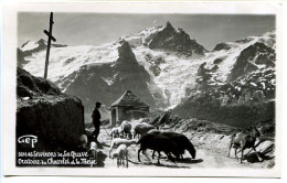 CPSM GEP 9 X 14 Hautes Alpes Environs De La GRAVE Oratoire Du Chazelet Et La Meije Moutons  Brebis  Chèvres   Berger - Autres & Non Classés