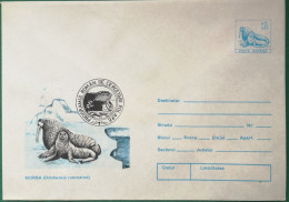 Rumänien 1994 Briefumschlag Cover Walroß Mit Jungem - Unused Stamps