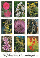 79 - Melle - Le Jardin Carolingien - Multivues - Fleurs - Flamme Postale De Chervex-Cubas - CPM - Voir Scans Recto-Verso - Melle