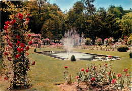 54 - Nancy - Parc De La Pépinière - Fleurs - CPM - Voir Scans Recto-Verso - Nancy
