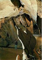 30 - Gard - Les Cévennes - Courry - Grotte De La Cocalière - Salle Des Congrès - Carte Neuve - CPM - Voir Scans Recto-Ve - Sonstige & Ohne Zuordnung