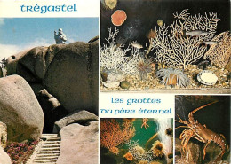22 - Trégastel - Les Grottes Du Père Eternel - Multivues - Flamme Postale De Trégastel - CPM - Voir Scans Recto-Verso - Trégastel