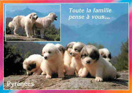 Animaux - Chiens - Chien Des Pyrénées - Chiots - Multivues - Flamme Postale - Elevage Du Pic De Viscos De Argelès-Gazost - Hunde