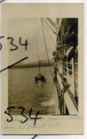 Ascencion Island Landing Cattle From Union Castle Line SS Gloucester Casrle 1900s Real Photo Postcard - Ascension (Insel)