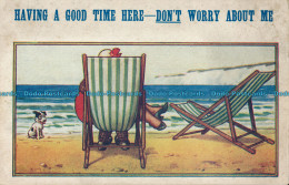 R001983 Having A Good Time Here. Do Not Worry About Me. Bamforth - Monde