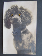 AK HUND Dog  Mechanical Postcard Eyes  // P8946 - Hunde