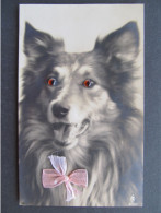 AK HUND Dog  Mechanical Postcard Eyes  // P8948 - Hunde