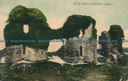 R001679 Castle Ruins. Newcastle Emlyn. 1912 - Monde