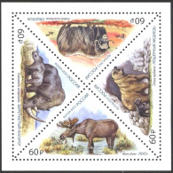 Mint S/S Fauna Bear Rhino Moose Bison  2023 From Russia - Sonstige & Ohne Zuordnung