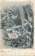 R001921 Pheasants Nest. 1903 - Monde