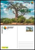 MALI 2024 STATIONERY CARD - BAOBAB TREE TREES ARBRE ARBRES - INTERNATIONAL DAY BIODIVERSITY - Alberi