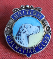 Animals Dog BRITISH DALMATIAN CLUB - Badge / Pin / Brooch - Animals