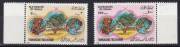 OMAN - Arbre à Encens TTB - Oman
