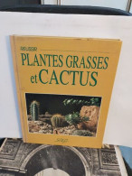 Réussir Plantes Grasses Et Cactus - Autres & Non Classés