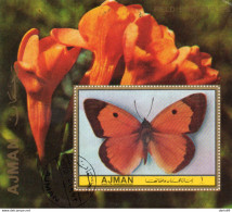 FARFALLE - Papillons
