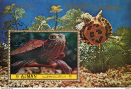 TARTARUGHE - Schildkröten