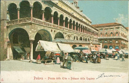 PADOVA - PIAZZA DELLE ERBE E PALAZZO DELLA RAGIONE - SPEDITA - 1900s (20795) - Padova (Padua)