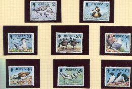 Jersey ** N° 806 à 813 - Oiseaux - Jersey