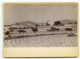 Laganas Herault Photo Format 17.3x10 Collée Sur Carton - Oud (voor 1900)
