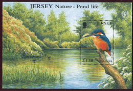 Jersey ** Bloc 35 - Oiseau : Martin-pêcheur - Jersey