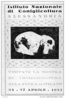 1927 ISTITUTO NAZIONALE CONIGLIOCOLTURA MILANO - Vignetten (Erinnophilie)