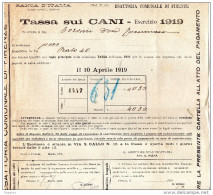 1919 FIRENZE - TASSA SUI CANI - Italia